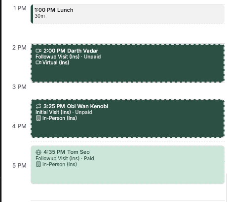 Reception calendar with afternoon appointments, visit types, and virtual or in-person indicators